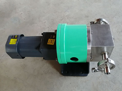 不鏽鋼齒輪(lún)計量泵