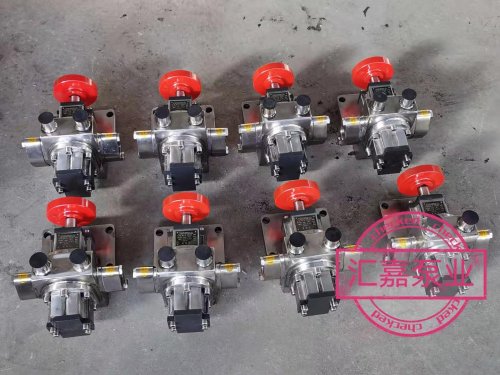 不鏽鋼保溫(wēn)齒輪泵