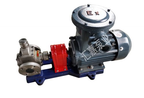 防爆不(bu)鏽鋼圓弧齒(chi)輪泵