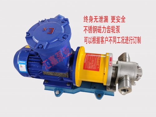 <b>磁(cí)力齒輪(lun)泵和常(cháng)規齒輪(lun)泵的區(qu)别有哪(nǎ)些？</b>