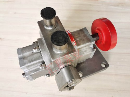 <strong>不鏽鋼外潤(rùn)滑保溫齒輪(lun)泵</strong>