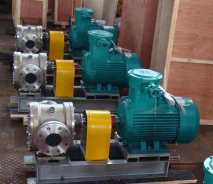 YCBG不鏽(xiu)鋼圓弧保溫(wēn)齒輪泵